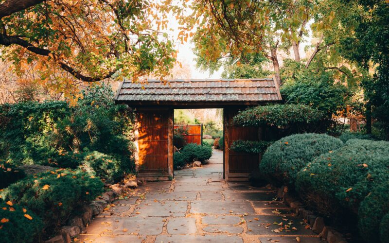The Philosophy of Imperfect Beauty: A Spa Owner’s Guide to Wabi-Sabi Interiors