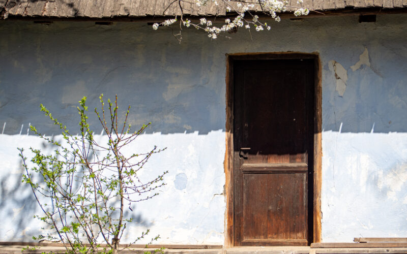 What Makes a Guest Come Back: Retention in the Japanese Wellness Model