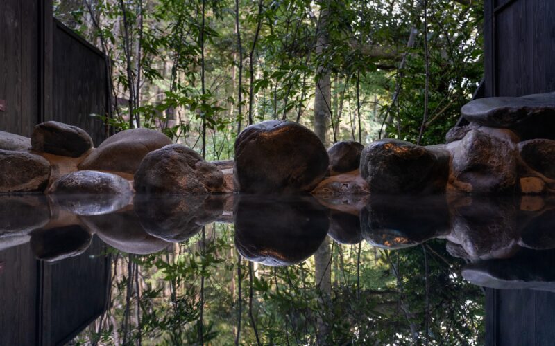 Shinrin-Yoku: The Japanese Forest Bathing Practice You Can Bring Into Your Treatment Room