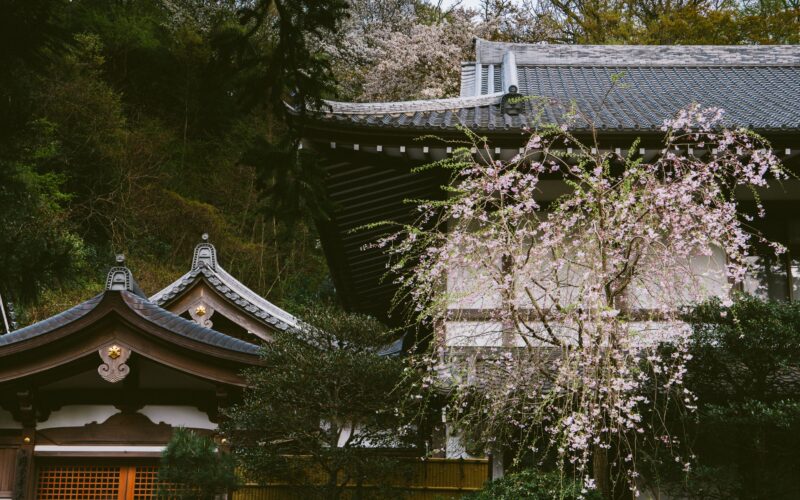 The Role of Silence in Japanese Healing — And Why Most Spas Are Too Loud