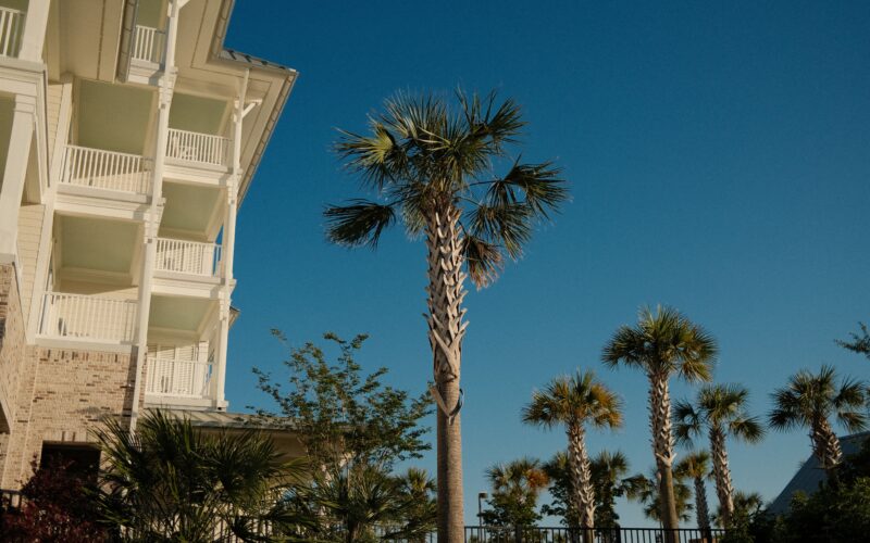 The Business Case for Authentic Japanese Wellness in American Resorts